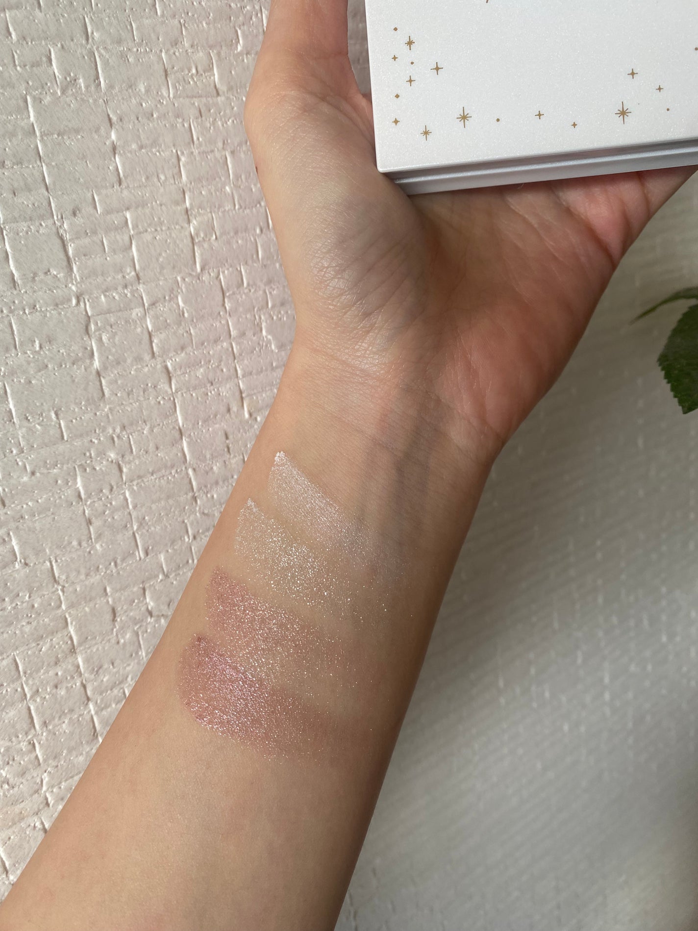 クリスマスコレクション/Ririmew/メイクアップキットを使ったクチコミ(5枚目)