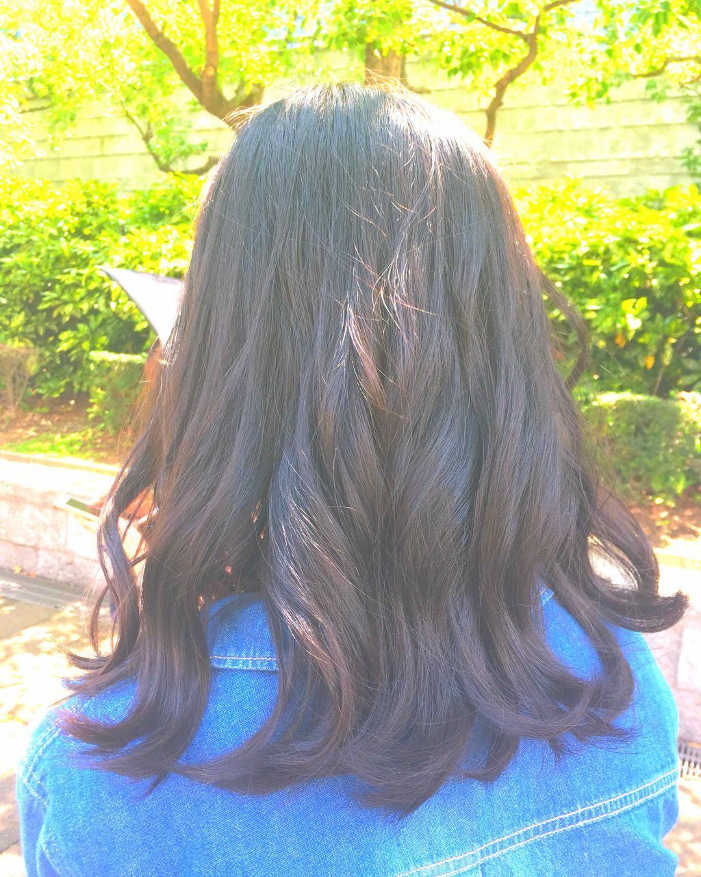 エクストラオーディナリー オイル エクラアンペリアル 艶髪オイル/ロレアル パリ/ヘアオイルを使ったクチコミ（1枚目）