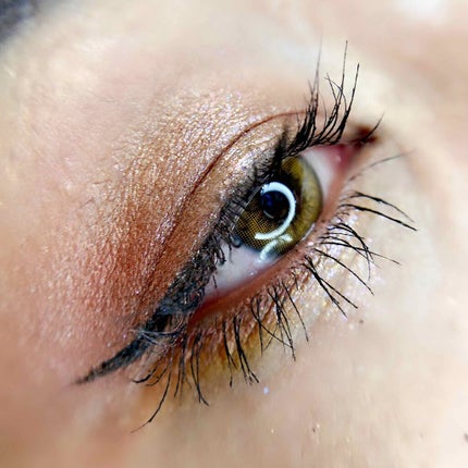 ウォンテッド トレジャーボックス アイパレット サウザンド・サニー/shu uemura/アイシャドウパレットを使ったクチコミ(6枚目)