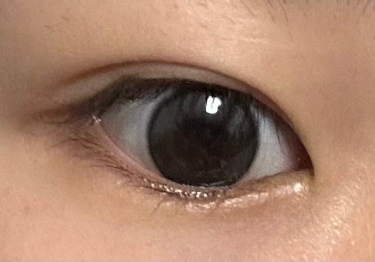 MOLAK 1day/MOLAK/ワンデー(1DAY)カラコンを使ったクチコミ(3枚目)