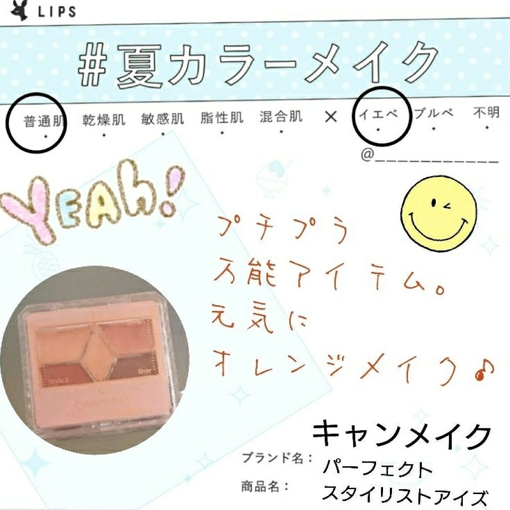 【旧品】パーフェクトスタイリストアイズ/キャンメイク/アイシャドウパレットを使ったクチコミ(1枚目)