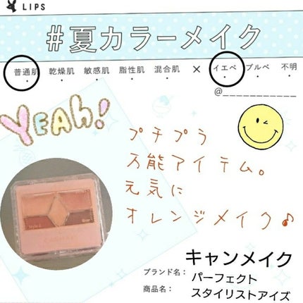 【旧品】パーフェクトスタイリストアイズ/キャンメイク/アイシャドウパレットを使ったクチコミ(1枚目)