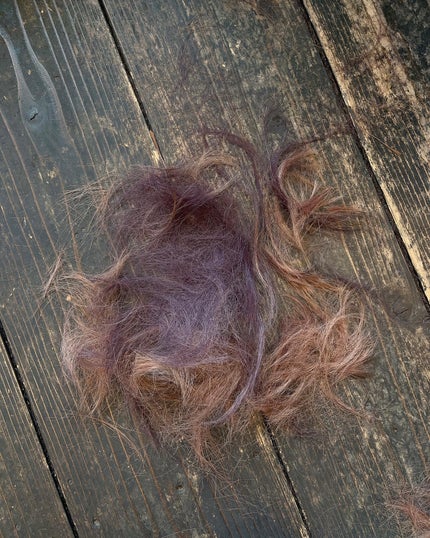 ããð¬ã€ãšãã®ãã°ãããã on LIPS ãNEWCOLORðâðð玫髪ããããðð»ð#髪è²#ãã¢ã«ã©ãŒ#..ãïŒ4æç®ïŒ