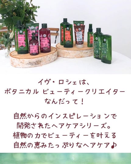 リンシングビネガー シルキーシャイン さらキララズベリー/イヴ・ロシェ/洗い流すヘアトリートメントを使ったクチコミ(7枚目)