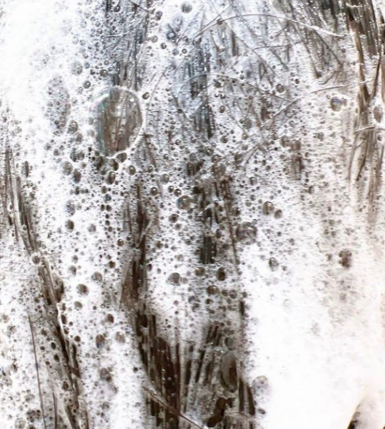 オーガニックシャンプー/トリートメント<モイストシャイン>/AROMA KIFI/市販シャンプーを使ったクチコミ(2枚目)