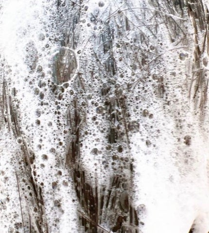 オーガニックシャンプー/トリートメント<モイストシャイン>/AROMA KIFI/市販シャンプーを使ったクチコミ(2枚目)