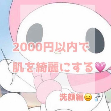 お久しぶりです💗

ロナです🤤‼️

皆様いかがお過ごしでしょうか？

今回は

2000円以内で肌を綺麗にする！

という記事を書いていきたいと思います！

(もしかしたら2000円を
少しオーバーし