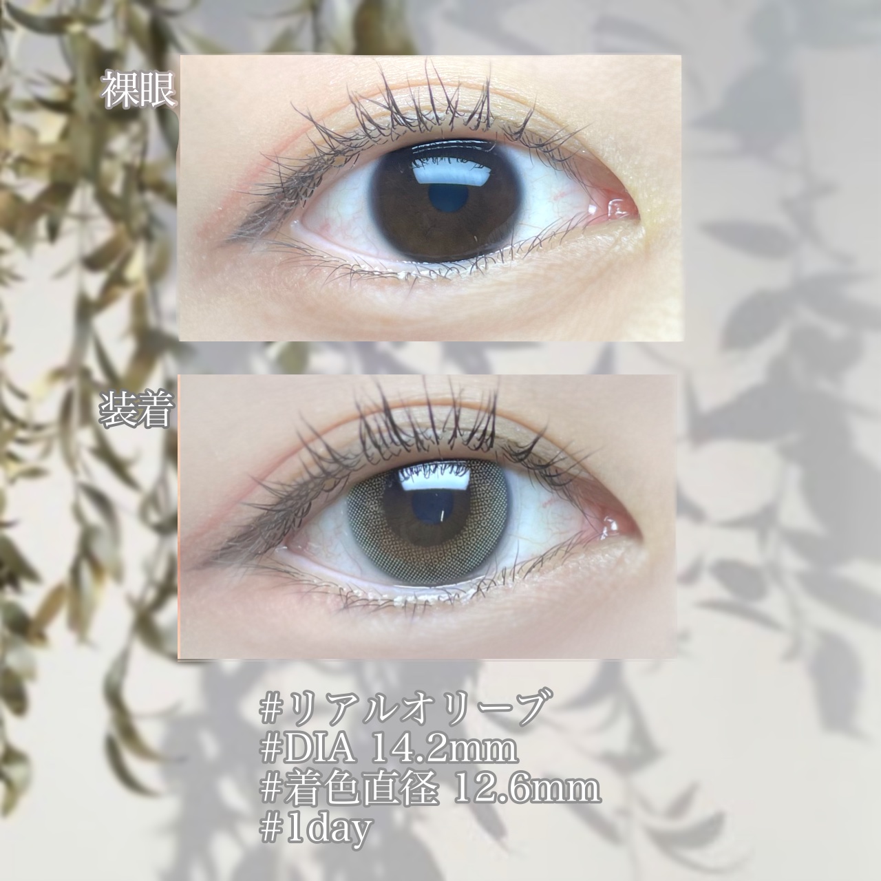 ワンデーリフレアビジュー/Refrear/ワンデー（１DAY）カラコンを使ったクチコミ（2枚目）
