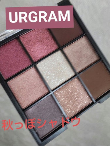 UR GLAM　BLOOMING EYE COLOR PALETTE/U R GLAM/パウダーアイシャドウを使ったクチコミ（1枚目）