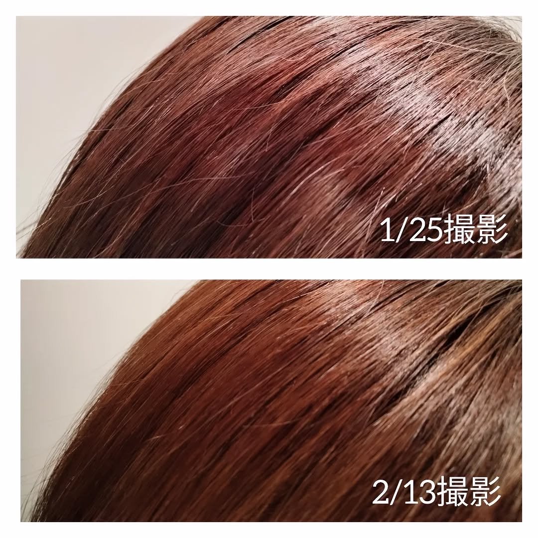 クレイクリームシャンプー(スムース)/cocone/市販シャンプーを使ったクチコミ(4枚目)