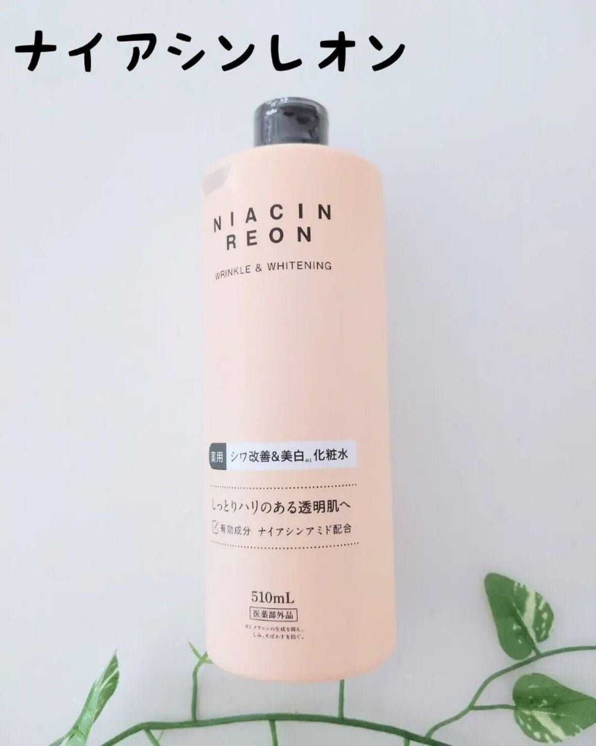 ナイアシンレオン/ナイアシンレオン/化粧水を使ったクチコミ(1枚目)