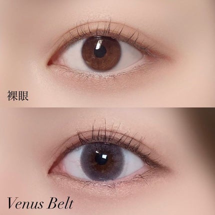 フェアリー ワンデー シマーリングシリーズ/FAIRY/ワンデー(1DAY)カラコンを使ったクチコミ(2枚目)