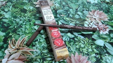 クリーミータッチライナー/キャンメイク/ジェルアイライナーを使ったクチコミ(1枚目)