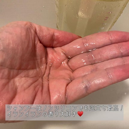 ドリーミー モイスト シャンプー/ヘアトリートメント/THERATIS/市販シャンプーを使ったクチコミ(4枚目)