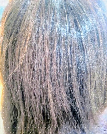 碧 モイストオイル〈金木犀〉/碧(ao)/アウトバストリートメントを使ったクチコミ(3枚目)