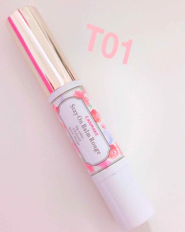 💄キャンメイクステイオンバームルージュT T01

このリップ、とっても良かったです！

前にティントではない方のものも使っていましたが、さほど変わりはないです🤔（ティントタイプのほうが少しクリアかな？