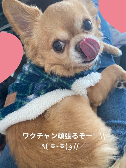 KTドレスアップネイル/ハローキティ/マニキュアを使ったクチコミ(8枚目)