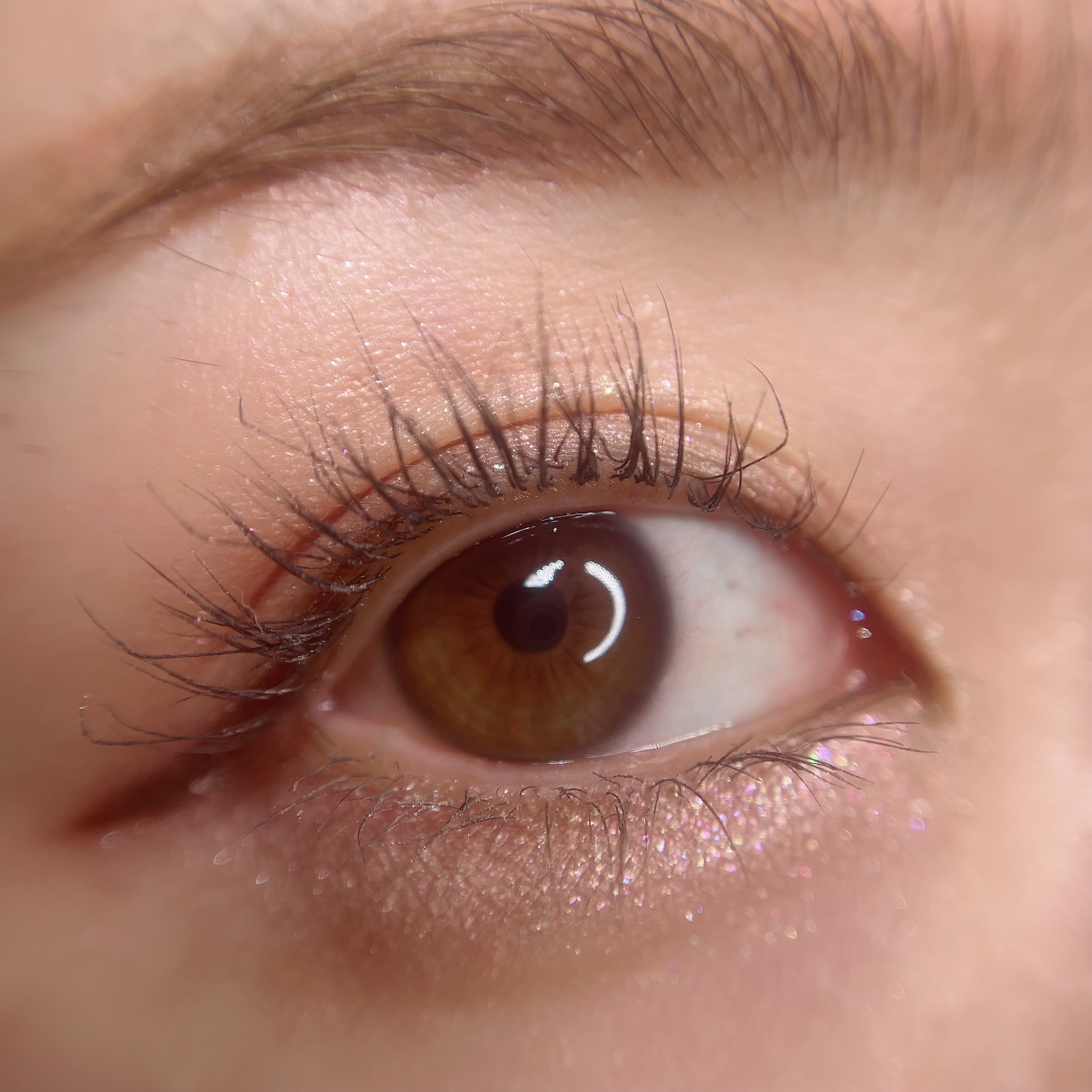 シンプレイン アイパレット/Sim;plain/アイシャドウパレットを使ったクチコミ（3枚目）