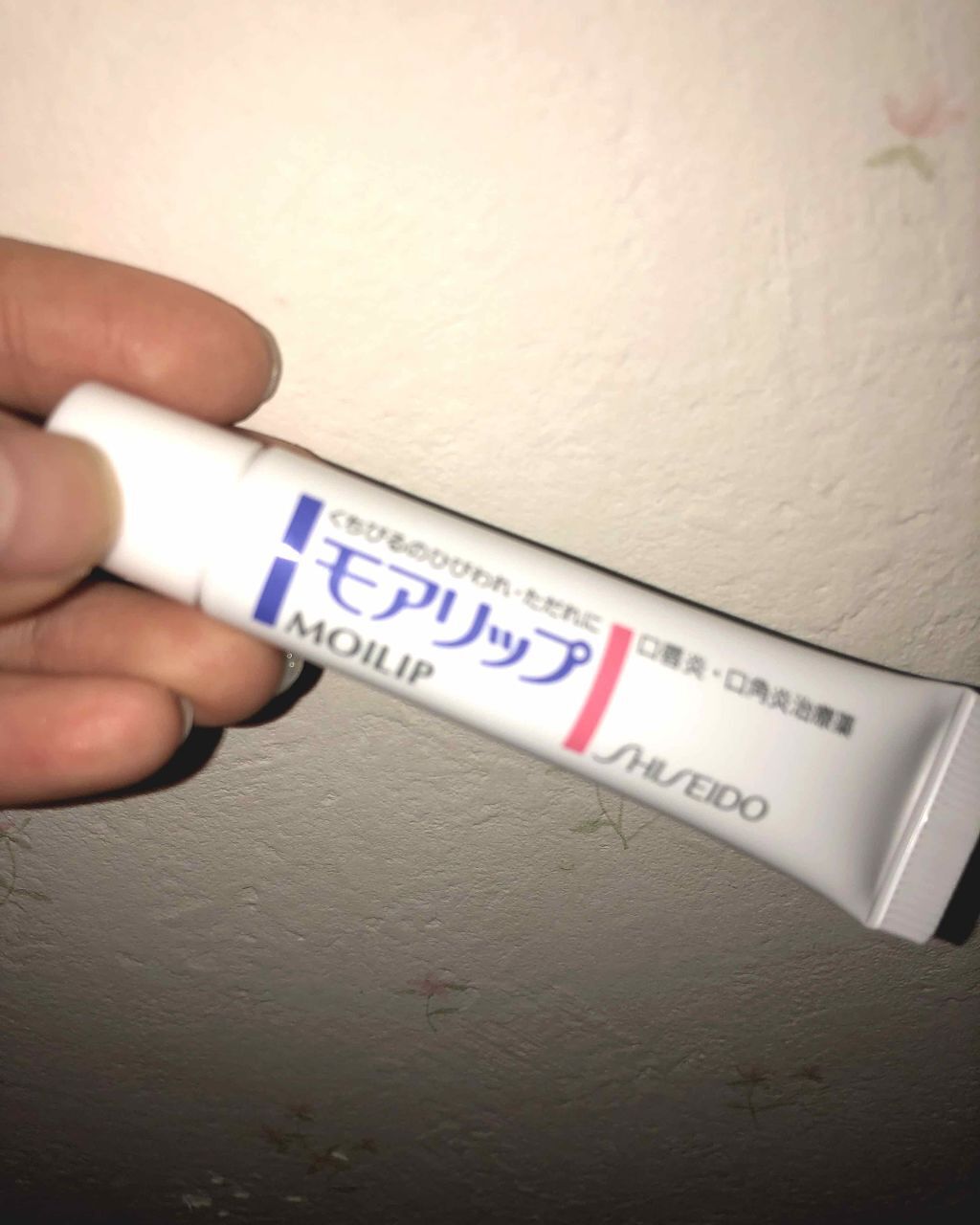 モアリップ N (医薬品)/資生堂薬品/その他を使ったクチコミ（1枚目）