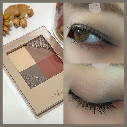 ニュアンス マット クリエイター/Visée/アイシャドウパレットを使ったクチコミ(1枚目)