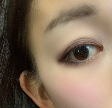 tartest PRO Amazonian clay palette/tarte/アイシャドウパレットを使ったクチコミ（1枚目）