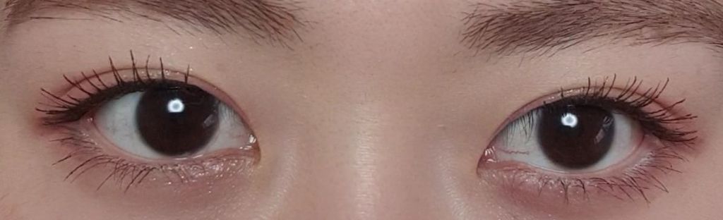 2021 F/Wルックブックパレット/espoir/アイシャドウパレットを使ったクチコミ(2枚目)