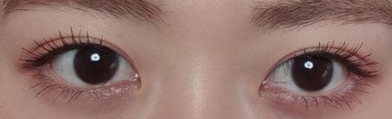 2021 F/Wルックブックパレット/espoir/アイシャドウパレットを使ったクチコミ(2枚目)