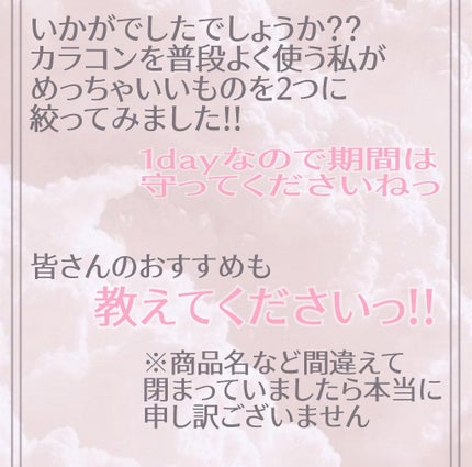 Angelcolor Bambi Series 1day /AngelColor/ワンデー(1DAY)カラコンを使ったクチコミ(4枚目)