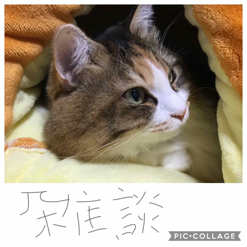 ぼんすけ on LIPS 「フォロワーの皆様、lipsの皆様こんばんは🌝まずは、いつもたく..」(1枚目)