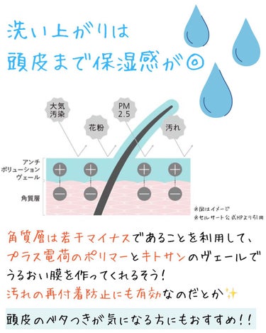 セルサート プニア シャンプー/ESTESSiMO/シャンプー・コンディショナーを使ったクチコミ（4枚目）