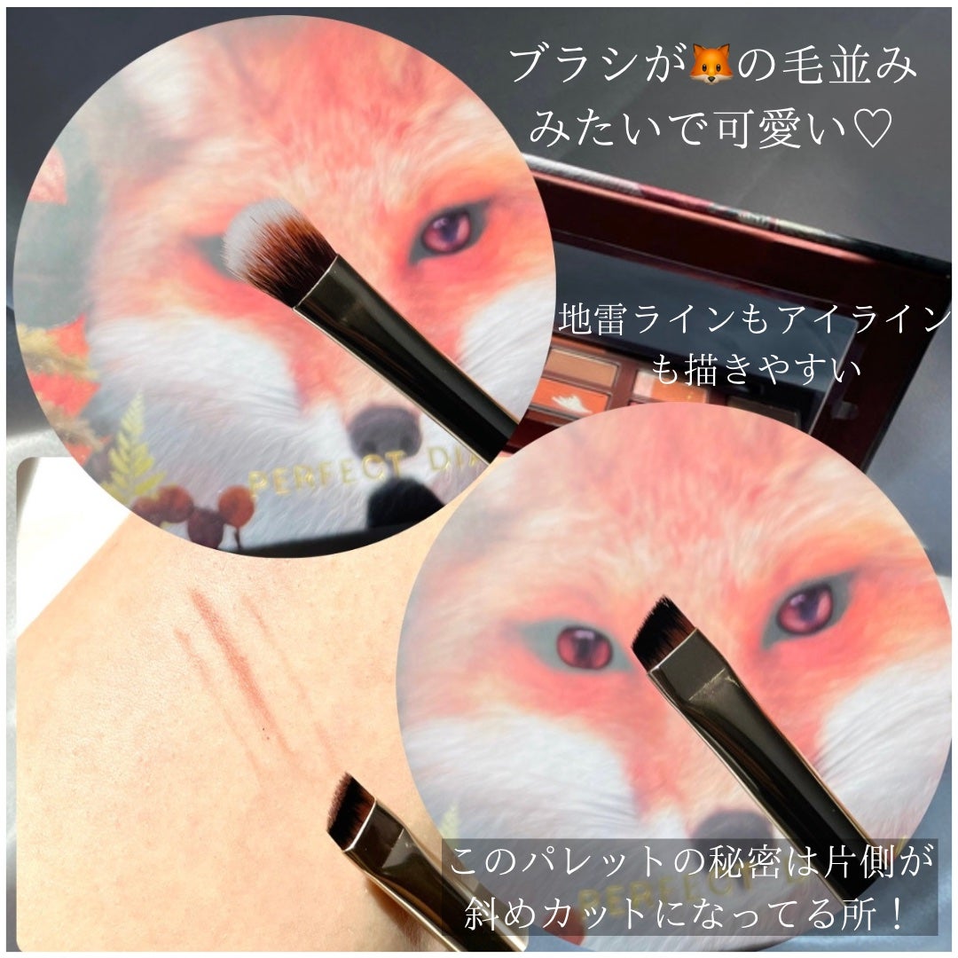 エクスプローラ12色 動物アイシャドウパレット/PERFECT DIARY/アイシャドウパレットを使ったクチコミ(3枚目)