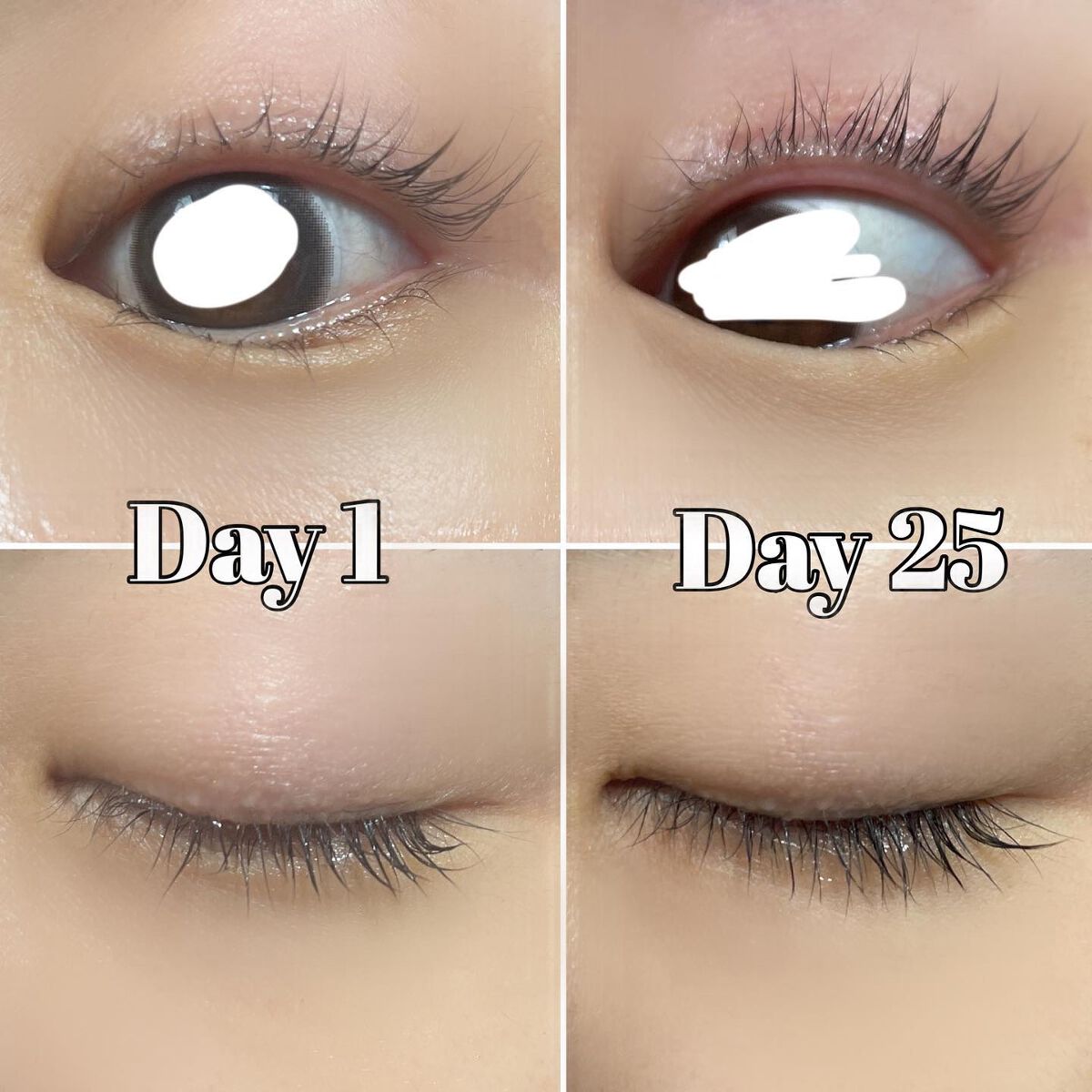 トゥルーアイラッシュセラム/mude./まつげ美容液を使ったクチコミ（2枚目）