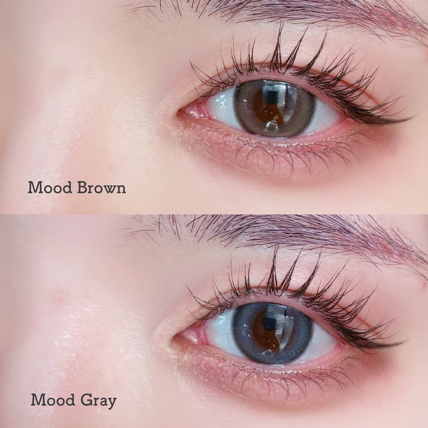 Moodnight 1day/OLENS/カラーコンタクトレンズを使ったクチコミ(5枚目)