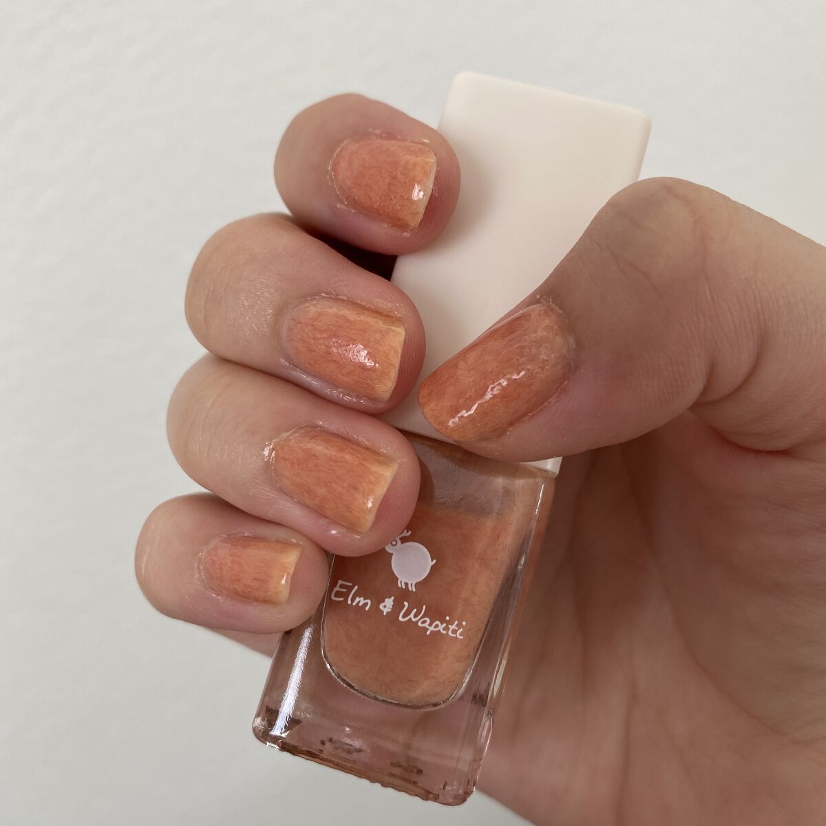 フラッフィーネイル/elm&wapiti/マニキュアを使ったクチコミ（2枚目）
