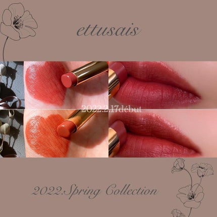 エテュセ リップエディション(ティントルージュ) R レアマットタイプ/ettusais/リップティントを使ったクチコミ(1枚目)