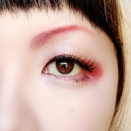 エクスプローラ12色 動物アイシャドウパレット/PERFECT DIARY/アイシャドウパレットを使ったクチコミ(6枚目)