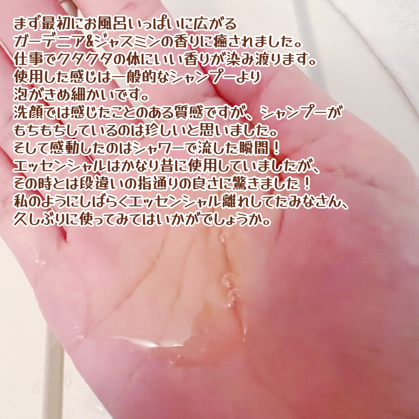 ãšãã»ã³ã·ã£ã«ãã¬ãã¢ã ããªã¢ã·ã£ã³ããŒã»ã³ã³ãã£ã·ã§ã㌠ã·ã«ããŒïŒã¹ã ãŒã¹/ãšãã»ã³ã·ã£ã«/åžè²©ã·ã£ã³ããŒã䜿ã£ãã¯ãã³ãïŒ2æç®ïŒ