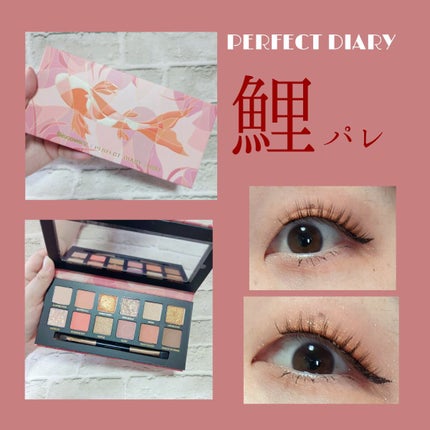 エクスプローラ12色 動物アイシャドウパレット/PERFECT DIARY/アイシャドウパレットを使ったクチコミ(1枚目)