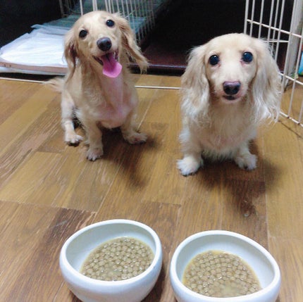 Sarhto on LIPS 「世界34ヶ国で特許を取得している健康サポート成分「MRE成分」..」(2枚目)