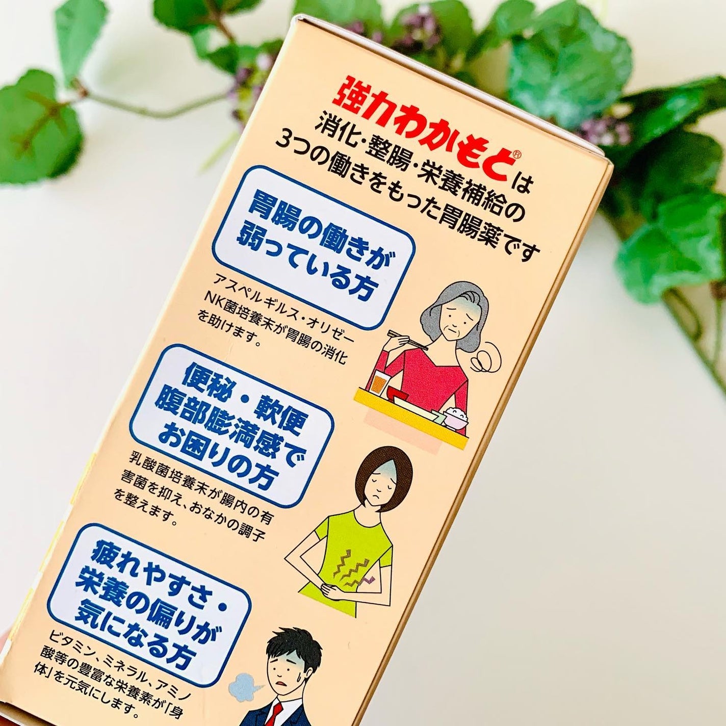 強力わかもと/わかもと製薬/健康サプリメントを使ったクチコミ(6枚目)