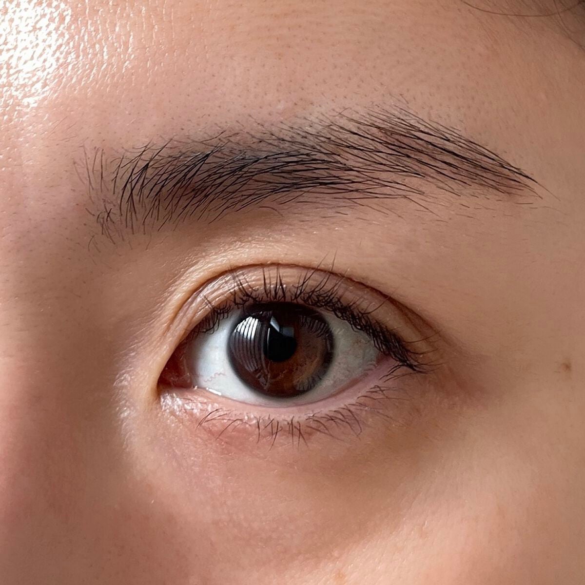 ワイルドブロウシェイパー/Laka/その他アイブロウを使ったクチコミ(5枚目)