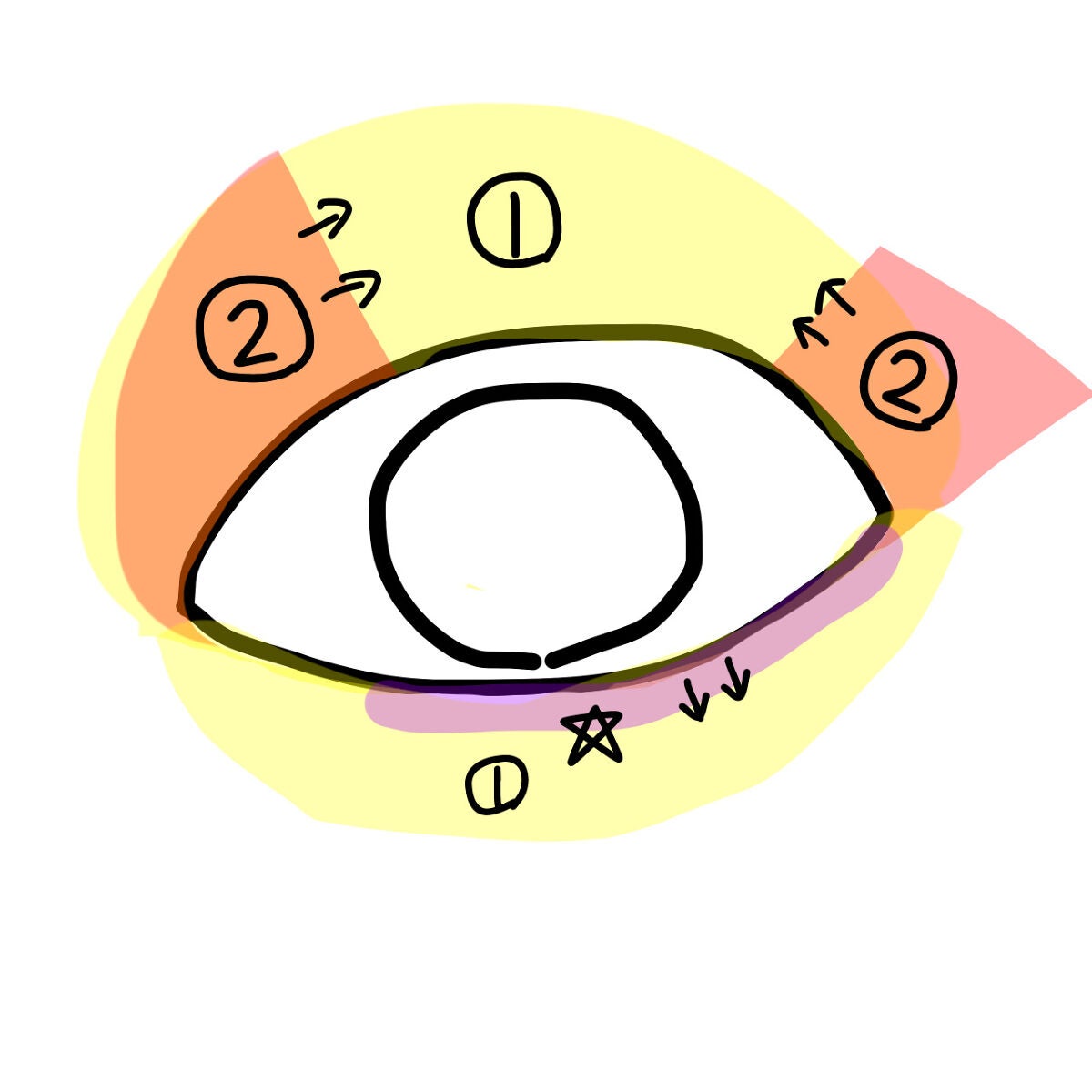 海 on LIPS 「 〜私流男装風メイクのやり方〜・ ①をアイホールと涙..」(4枚目)