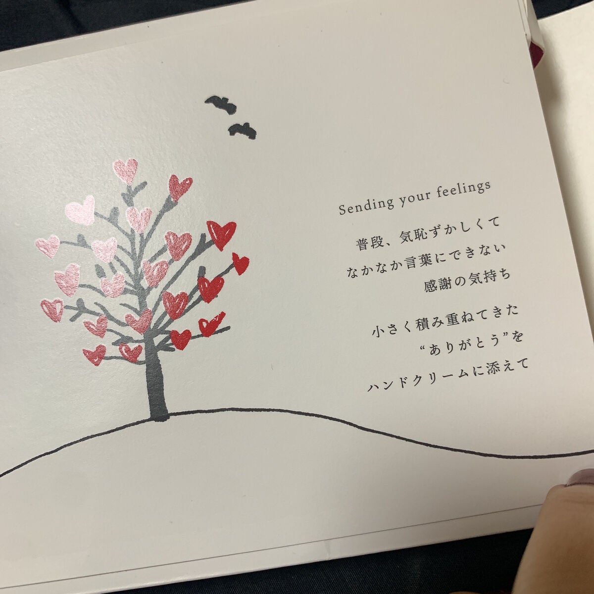 薬用美白ハンドクリーム リミテッドセット/ALBLANC/ハンドクリームを使ったクチコミ(6枚目)