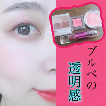 PETAL BLUSHER/eco secret/パウダーチークを使ったクチコミ(1枚目)