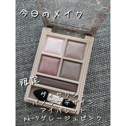 パノラマデザイン アイパレット/Visée/アイシャドウパレットを使ったクチコミ(1枚目)