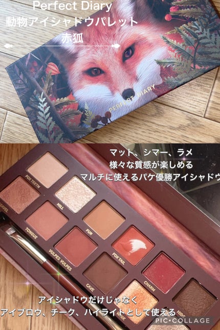 エクスプローラ12色 動物アイシャドウパレット/PERFECT DIARY/アイシャドウパレットを使ったクチコミ(2枚目)