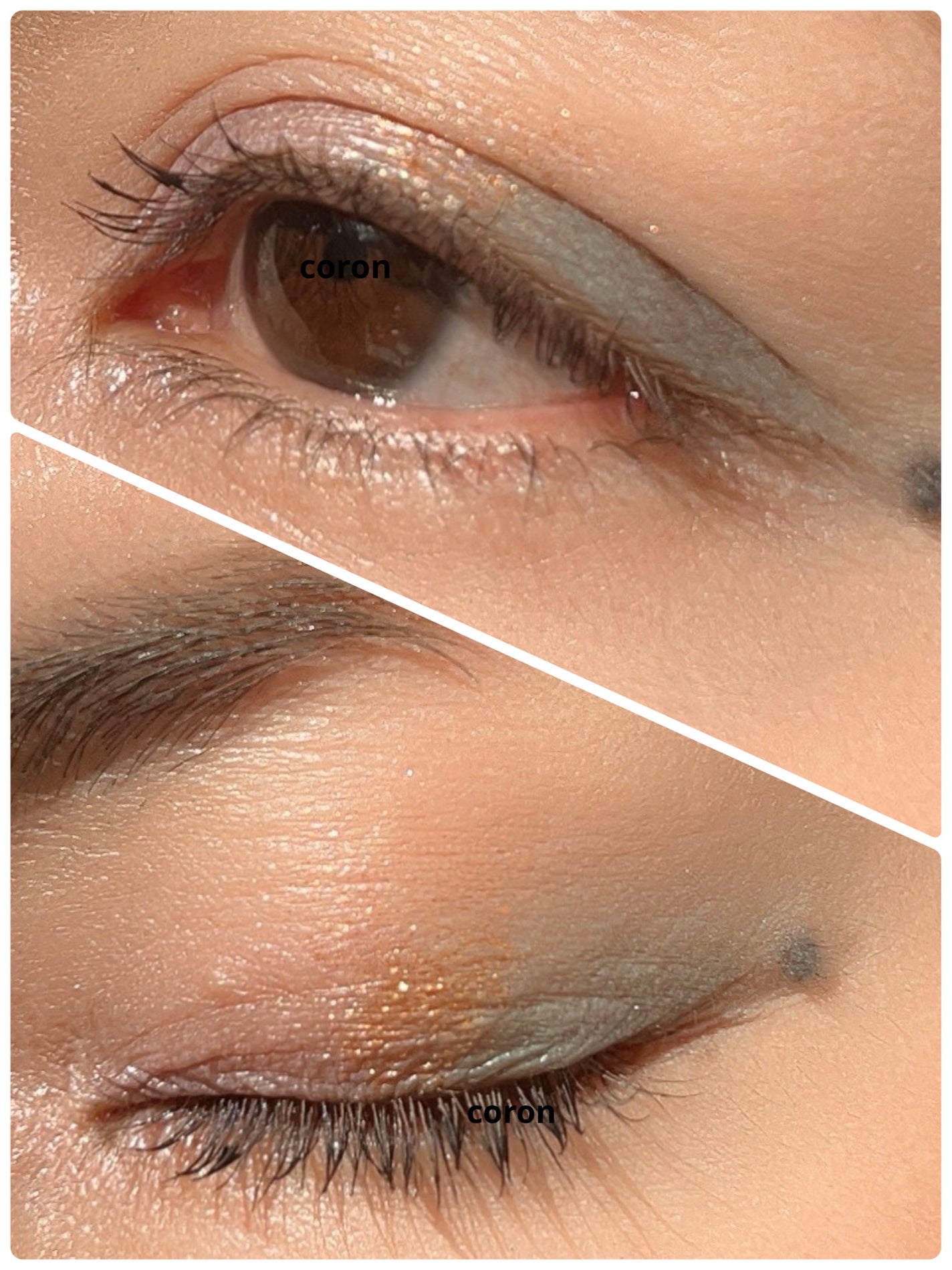 「塗るつけまつげ」ボリュームタイプ/デジャヴュ/マスカラを使ったクチコミ(2枚目)