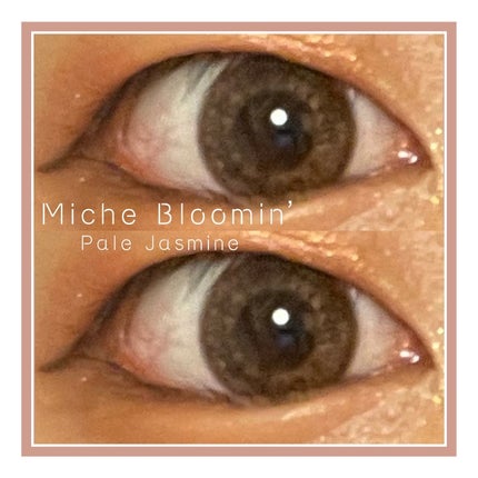 ミッシュ ブルーミン ワンデー (クォーターヴェール シリーズ/イノセント シリーズ)/ミッシュブルーミン/ワンデー(1DAY)カラコンを使ったクチコミ(1枚目)