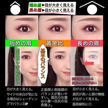 mari_loves_beauty on LIPS 「眉の長さによる視覚的変化とは？！..眉の形・太さ・角度など、眉..」（3枚目）