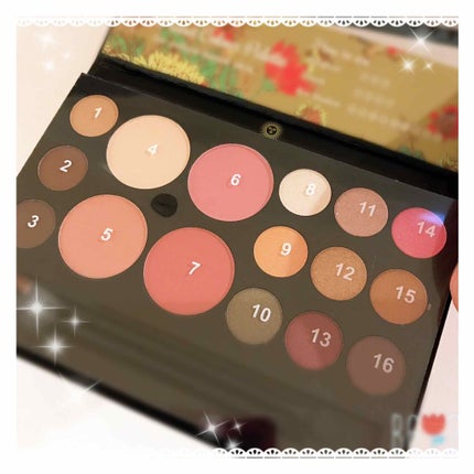 プラネットカラーパレット/マリブビューティー/メイクアップキットを使ったクチコミ(1枚目)